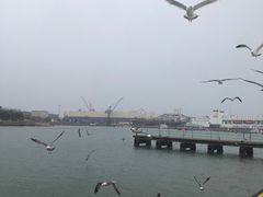 -海驴岛(荣成市)