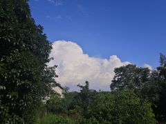 -瑞余烤鱼堂(鑫都国际店)