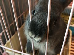 -藦茜花园宠物主题亲子互动体验馆(国顺东路店)