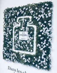 -Chanel