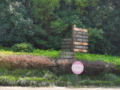 -上海海湾国家森林公园