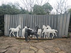 -白马涧龙池景区