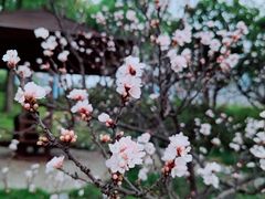 -大宁公园