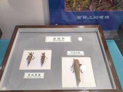 -上海昆虫博物馆