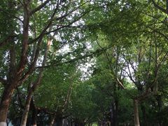 -曲阜师范大学(曲阜校区)