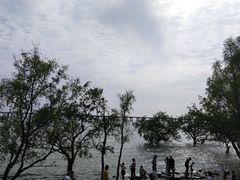 -宝安西湾红树林湿地公园