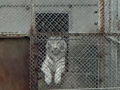 -石家庄市动物园