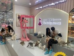 -糯米喵星人·撸猫猫舍咖啡馆(西市场嘉华店)
