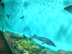 -太平洋海底世界