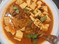 -煲来饱去冷水鱼