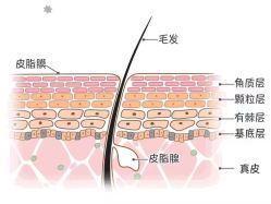 -LJOY丽锦造型·烫发染发