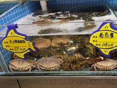 -韩记海鲜饺子旗舰店(红海新区店)