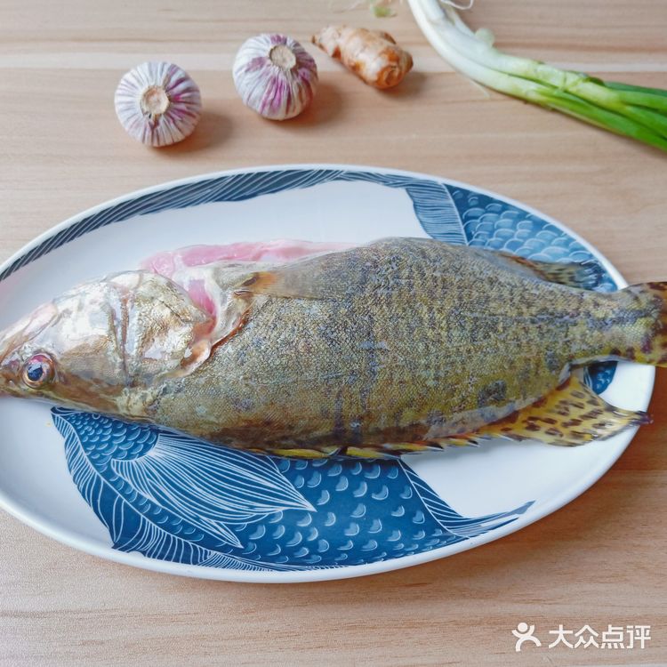 《家常清蒸桂鱼》肉质鲜美无比!汤汁拌饭是一绝!