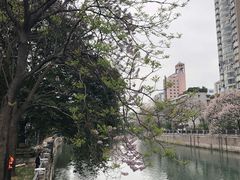 -成都市活水公园