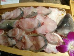 -鱼豆吉·豆浆鱼火锅(宜昌万达店)