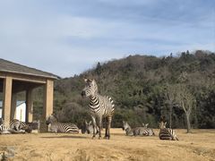 -杭州野生动物世界