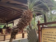 -龙达温泉生态城