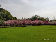 -荆川公园