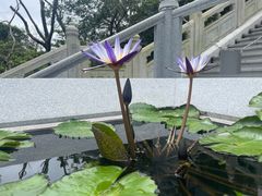 -天坛大佛