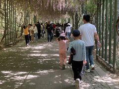 -苏州太湖国家湿地公园