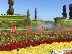 -东南花都花博园
