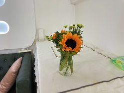 -babiline芭比莱恩半永久纹眉纹唇发际线