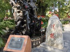 -大槐树寻根祭祖园