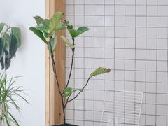 用餐区-COTTON CAFE(德信·中外公寓店)