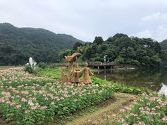 -广州市石门国家森林公园