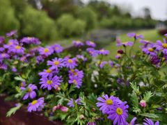 -合肥三国新城遗址公园