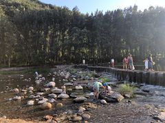 -白河湾生态旅游一条川