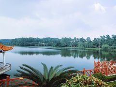 -南国桃园旅游度假区