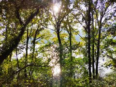 -宁波富邦荪湖山庄