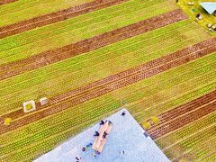 -中国天府农业博览园