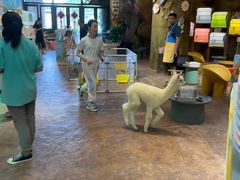 -杭州开元森泊度假乐园