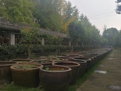 -鄞州雪菜博物馆