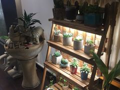 -十二舍·湯物素煮(江泰潤政店)