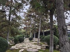 -中国唐苑