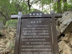 -阳台山自然风景区