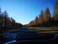 -塞罕坝国家级自然保护区