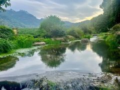 -中国茶叶博物馆(双峰馆区)