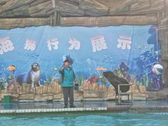 -合肥野生动物园