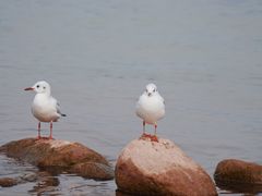 -西昌邛海湿地