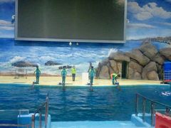 -福州罗源湾海洋世界旅游区