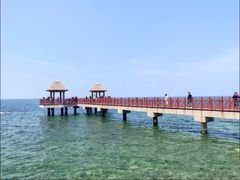 -养马岛旅游度假区