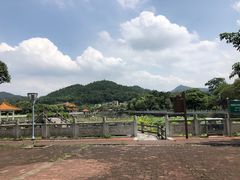 -红山村