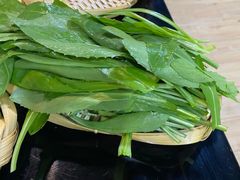 -藏味八珍特色火锅