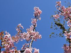 -新江湾城公园