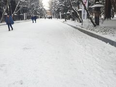 -北海道神宫