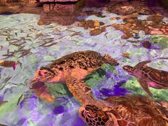 -波塞冬旅游度假区